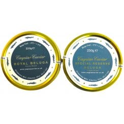 Beluga Twin Set